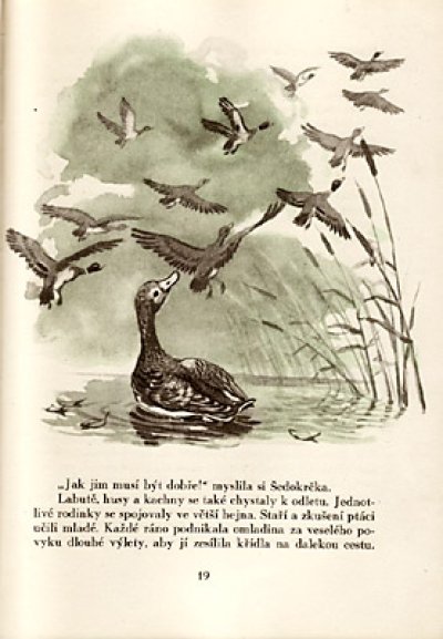 画像2: JEZEK BOHATYR