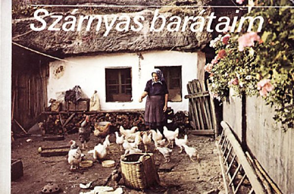 画像1: Szarnyas barataim (1)